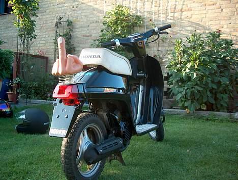 Honda melody billede 3