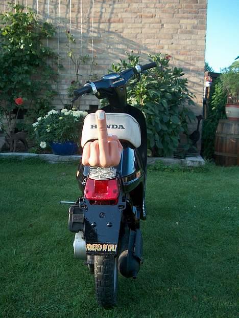 Honda melody billede 4