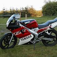Yamaha TZR
