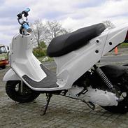 PGO HOT50 [Team North]