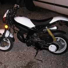 Suzuki Street Magic (SOLGT)