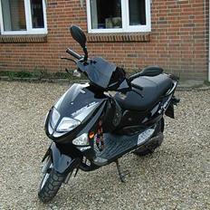 PGO T-REX 110 *Solgt*