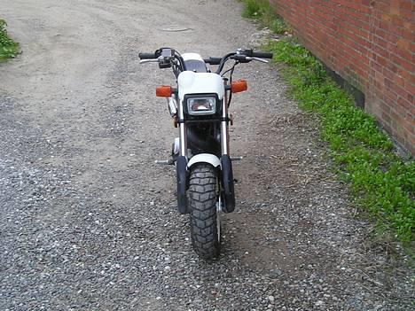 Suzuki Street Magic (SOLGT) billede 2