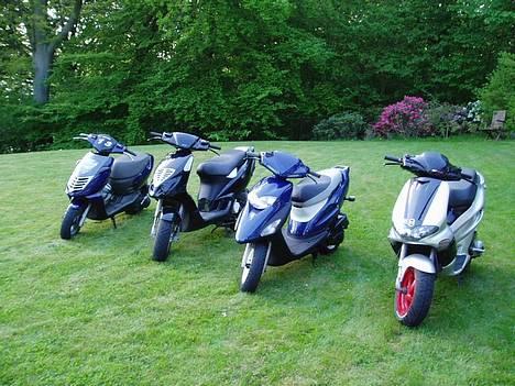 Aprilia Sonic - nogle venners knallert og min egen inden den blev malet! billede 6