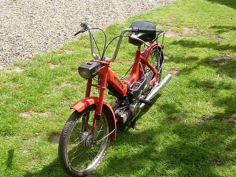 Puch Maxi (Solgt for 1650) billede 1