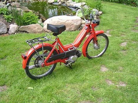 Puch Maxi (Solgt for 1650) billede 2