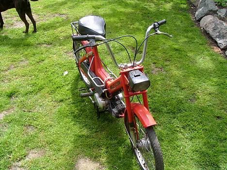 Puch Maxi (Solgt for 1650) billede 4