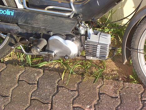 Puch Polini Maxi K billede 5