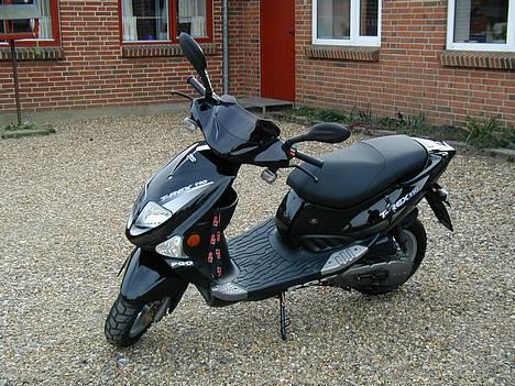 PGO T-REX 110 *Solgt* billede 1