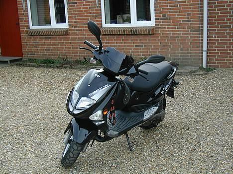 PGO T-REX 110 *Solgt* billede 2