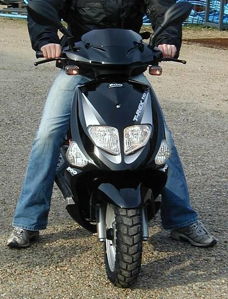 PGO T-REX 110 *Solgt* billede 3