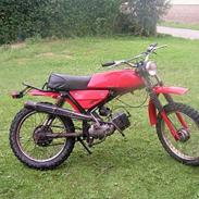 Puch pioneer