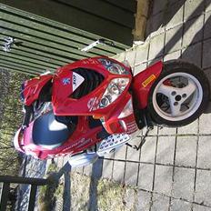 Peugeot 307 Speedfight 2 WCR