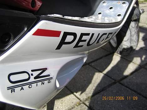 Peugeot 307 Speedfight 2 WCR billede 11