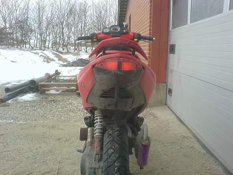 Peugeot wrc 307 billede 2