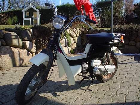 Suzuki FZ50 - Suzi billede 1