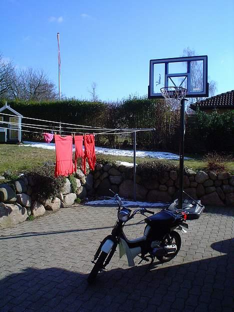 Suzuki FZ50 - Suzi og mit basketnet! billede 2