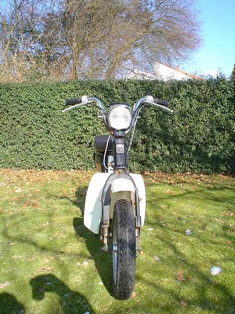 Suzuki FZ50 - Suzi forfra billede 5