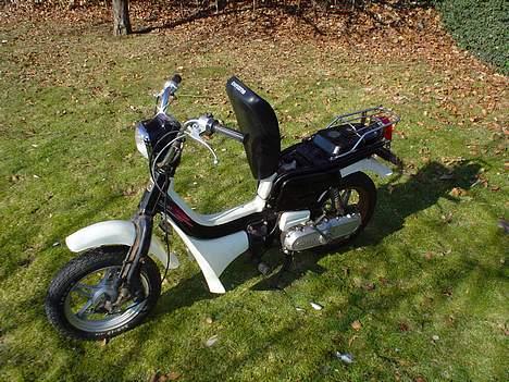 Suzuki FZ50 - sædet ned til olietanken og benzintanken slået op billede 7