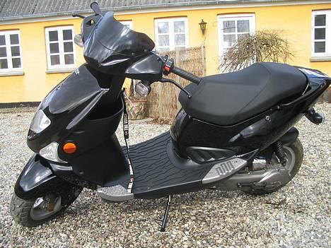 PGO Dr. Big - Taget d. 20/03-06 billede 8