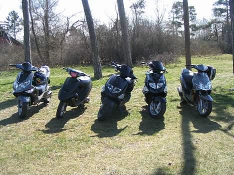 PGO Dr. Big - Sommeren 2005 billede 10