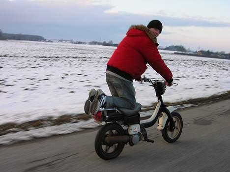 Suzuki Fz 50 Qano`s SOLGT - sjov at køre på homo billede 3
