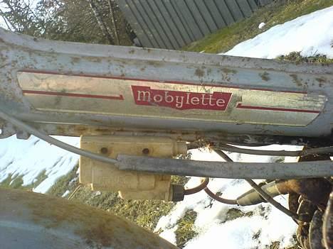 Veteraner Mobylette - -Mobylette billede 3