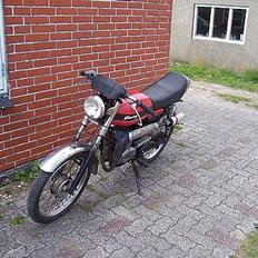Puch Monza+EVERTON (SOLGT)