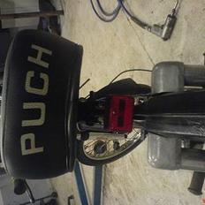 Puch maxi pl1 :SOLGT: