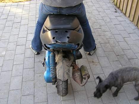 Aprilia sonic billede 10