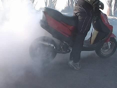 Adly falcon LC billede 3