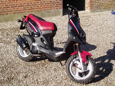 PGO PMX Sport billede 2