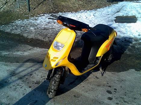 Piaggio typhoon (SOLGT) billede 1