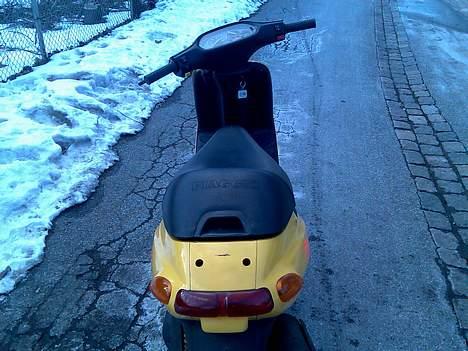 Piaggio typhoon (SOLGT) billede 7