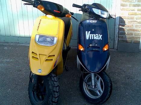 Piaggio typhoon (SOLGT) billede 9