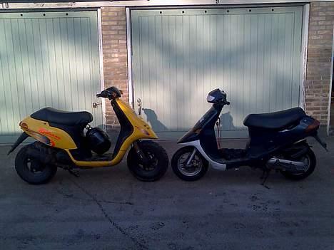 Piaggio typhoon (SOLGT) billede 10