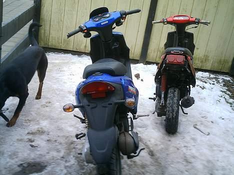 CPI popcorn (solgt) billede 5