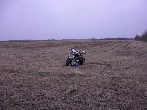 Suzuki Street Magic  solgt - har lige fået skjoldene hjem:D billede 4