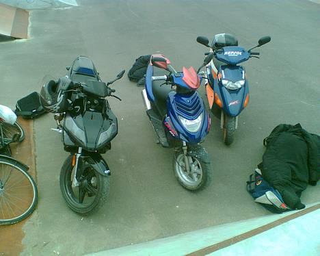 CPI oliver city-smadret- billede 8