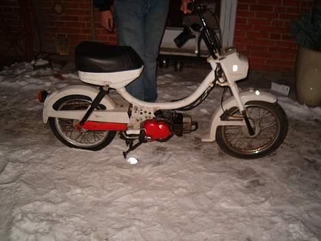 Puch mini maxi solgt billede 5