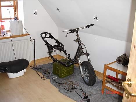 Benelli 491 st lc evo tilslag billede 1