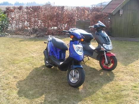 PGO Hot 50 billede 5