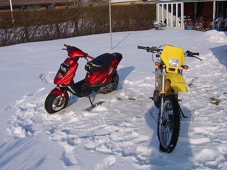 PGO Hot 50 Racing SOLGT billede 12