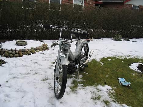 Puch Maxi kl - Gammelt billede 8