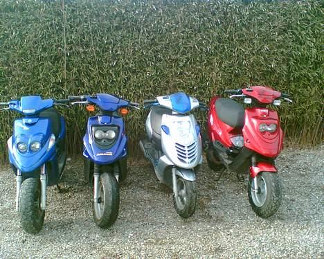 PGO Hot 50  billede 3