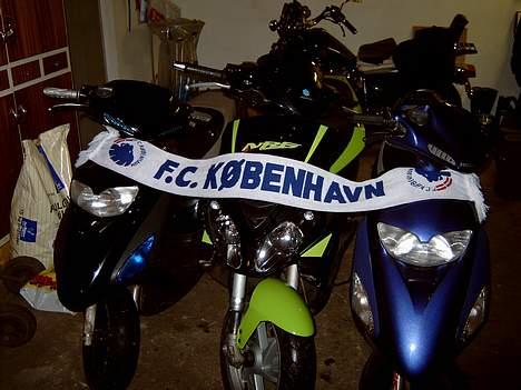 Honda Sfx  billede 5