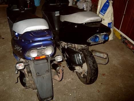 Honda Sfx  billede 6