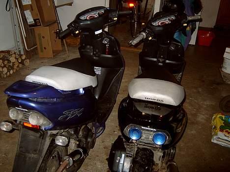 Honda Sfx  billede 7