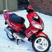 Peugeot WRC 307 Speedfight 2