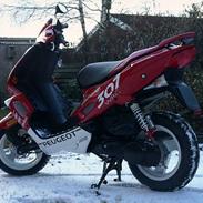 Peugeot WRC 307 Speedfight 2